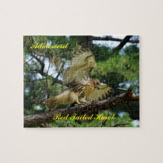 Puzzle, adolescent red tailed hawk jigsaw puzzle
