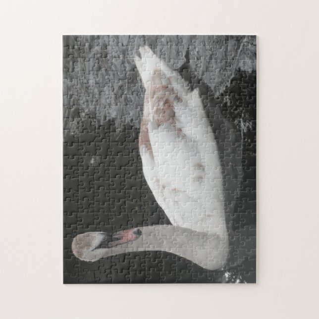 Puzzle Baby Swan Swimming (Vertical)