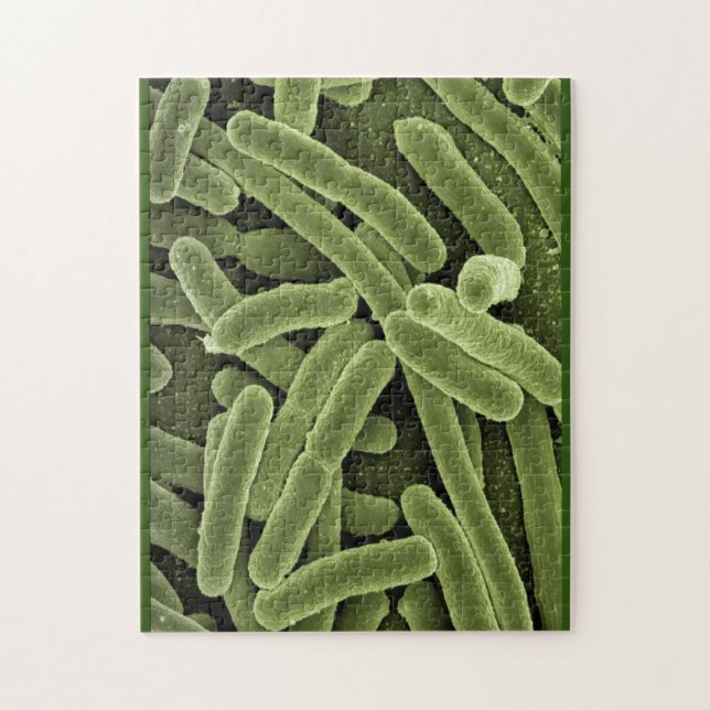 Puzzle bacterias e.coli microscopio (Vertical)