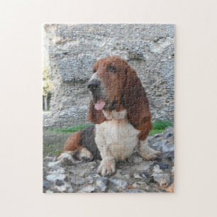 Puzzle Basset Hound Visiting Castle