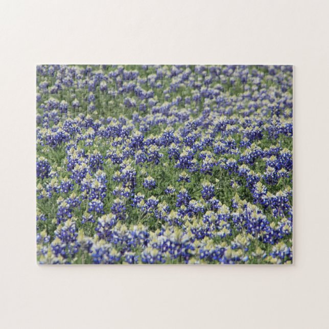 Puzzle Bluebonnet field (Horizontal)