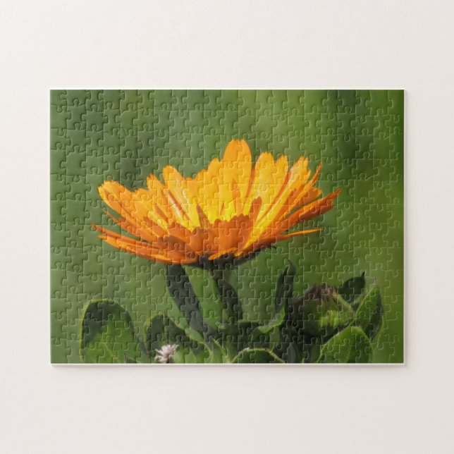 Puzzle - Calendula Blossom (Horizontal)