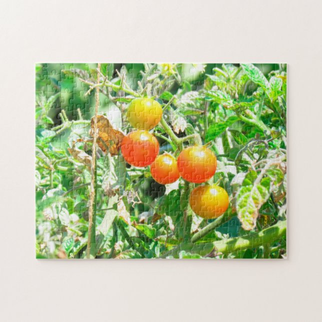 Puzzle - Cherry Tomatoes (Horizontal)