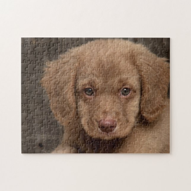 Puzzle - Cute Brown Puppy (Horizontal)