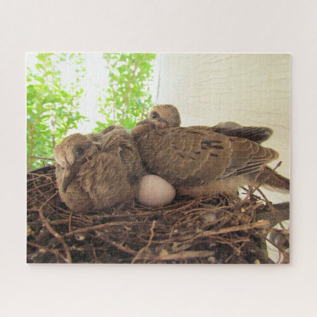 Puzzle - Dove Chicks in Nest (Horizontal)