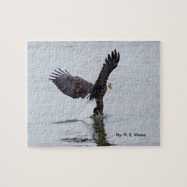 Puzzle/ eagle appears to be walking on water. jigsaw puzzle (Horizontal)