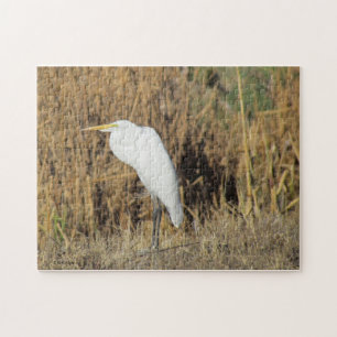 Puzzle - Egret in Grass
