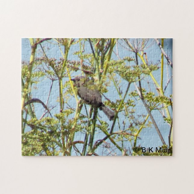 Puzzle - Finch Sitting in Branches (Horizontal)