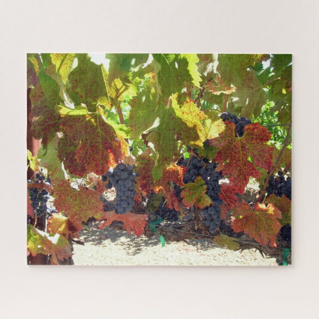 Puzzle - Grape Vines (Horizontal)