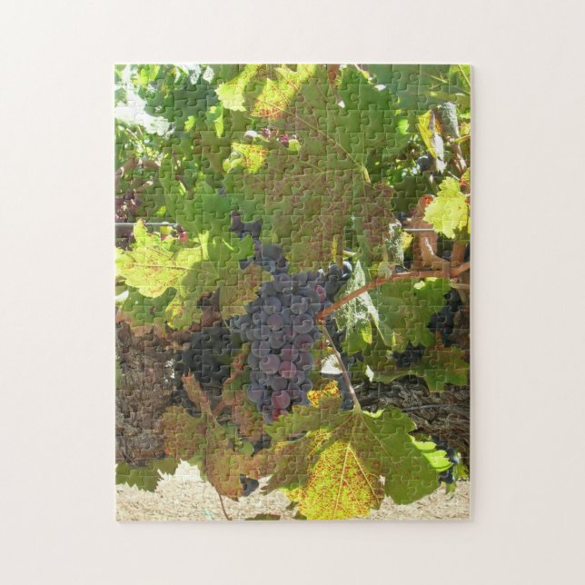 Puzzle - Grapes on Vine (Vertical)