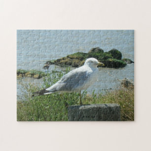 Puzzle - Gull on Piling