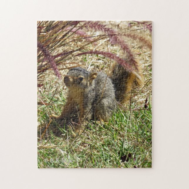Puzzle - Inquisitive Squirrel (Vertical)