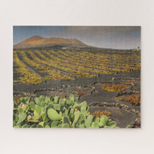 Puzzle Landscape of Lanzarote - Vineyard