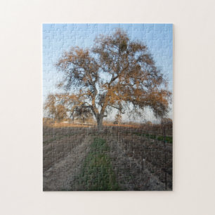 Puzzle: Oak inVineyard with Mistletoe Jigsaw Puzzle