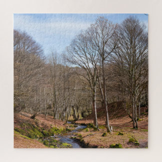 Puzzle of a Tranquil Wood