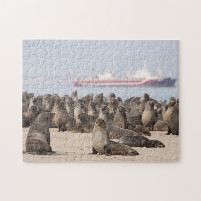 Puzzle of Seal Colony in front of Ship (Horizontal)