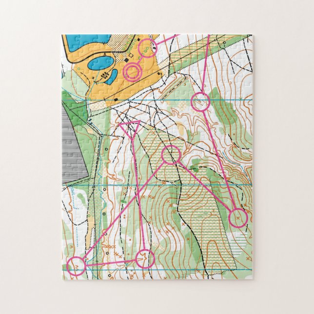 Puzzle - Orienteering map (Vertical)
