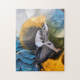 Puzzle Parrot Colour Bird