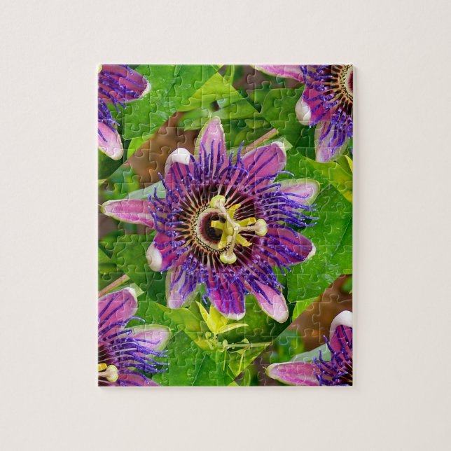Puzzle Passionflower (Vertical)