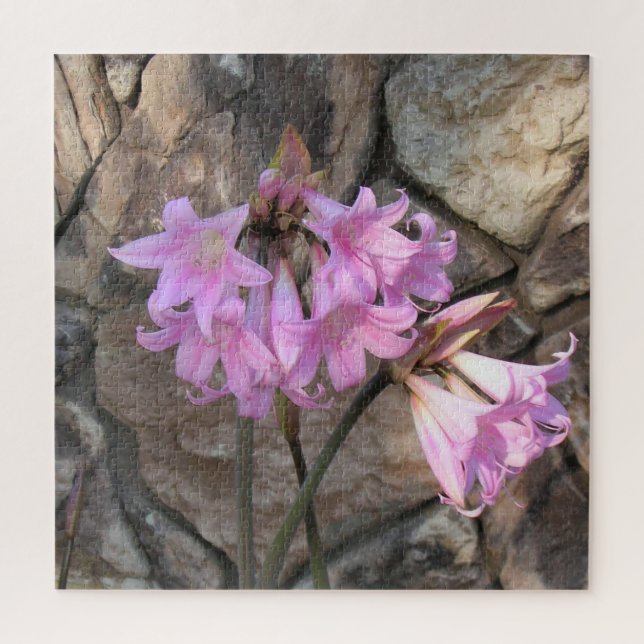 Puzzle - Pink Amaryllis (Vertical)