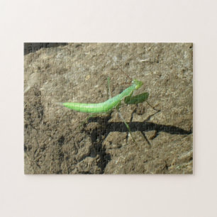 Puzzle - Praying mantis