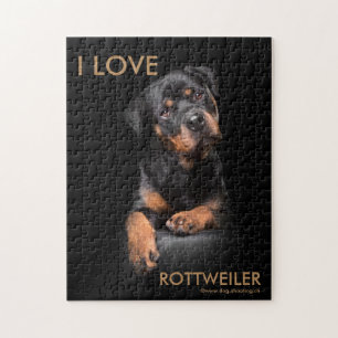 Puzzle Rottweiler