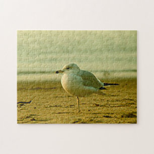 Puzzle - Seagull at Sunset