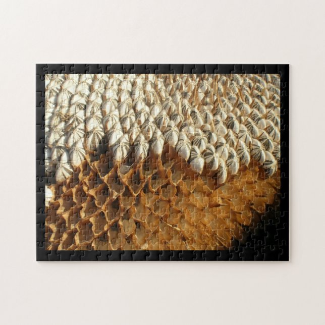 Puzzle - Sunflower Husks (Horizontal)