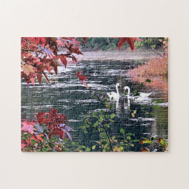 Puzzle - Swans at Jenney Pond (Horizontal)