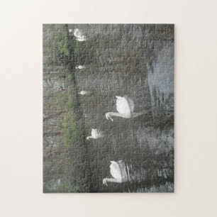 Puzzle Swans Swimming