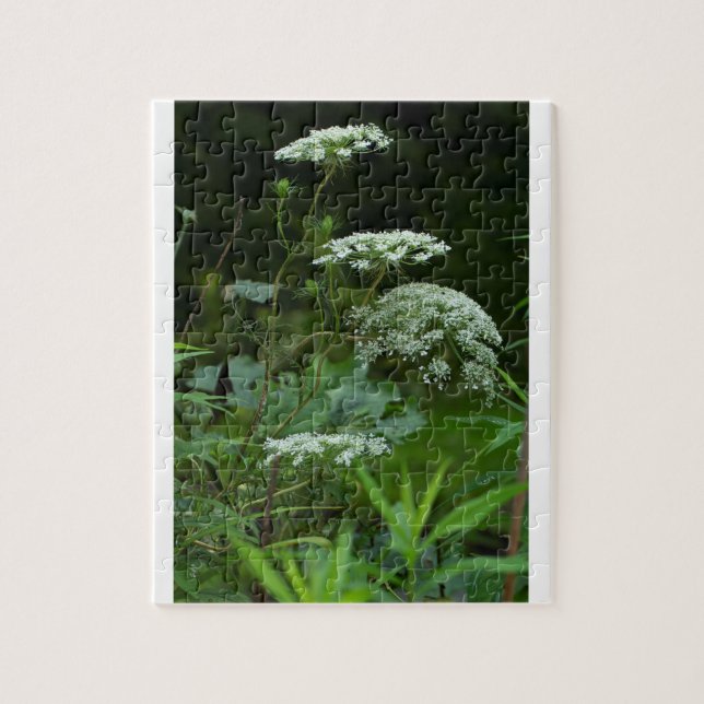 puzzle template (Vertical)