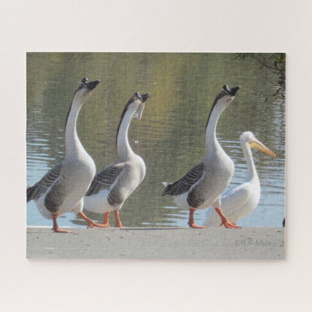 Puzzle - Three Geese and a Pelican (Horizontal)