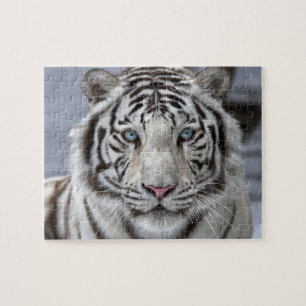 Puzzle-Tiger Jigsaw Puzzle