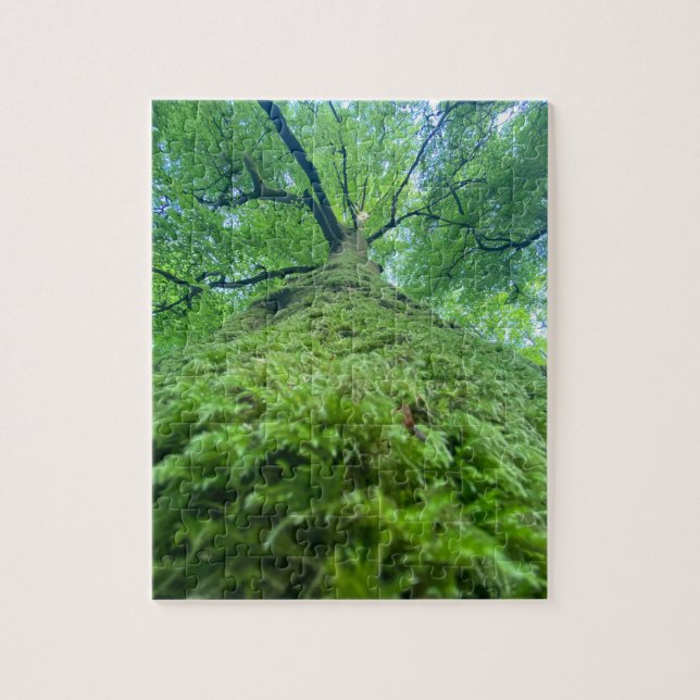 Puzzle Tree Moss  (Vertical)