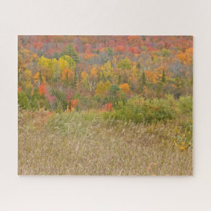 PUZZLE/"VIBRANT COUNTRYSIDE IN FALL" JIGSAW PUZZLE