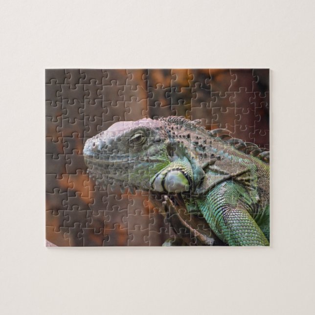 Puzzle with colourful Iguana lizard (Horizontal)