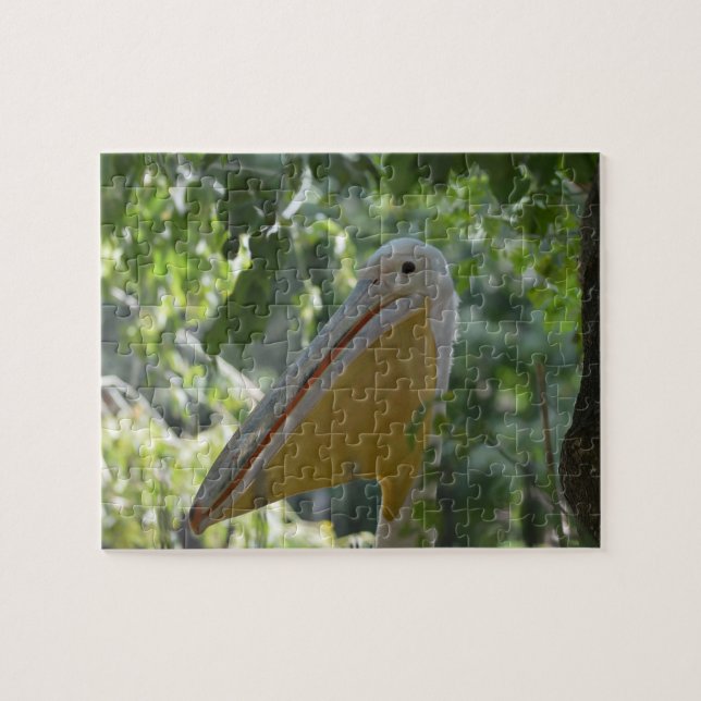 Puzzle with funny pelican (Horizontal)