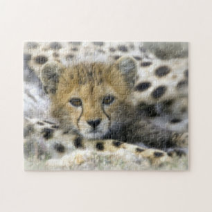 Puzzle with Gift Box/Cheetah Cub