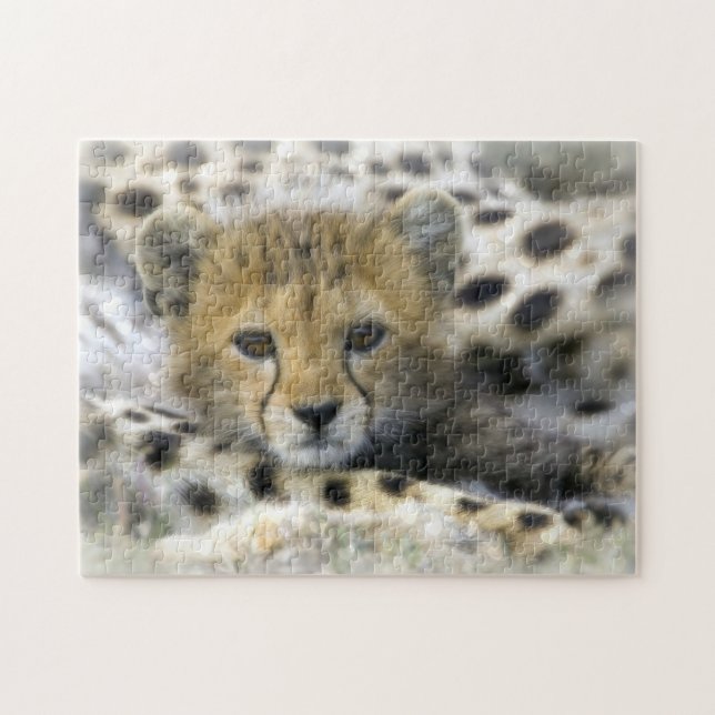Puzzle with Gift Box/Cheetah Cub (Horizontal)
