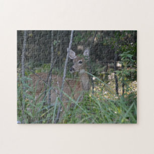 Puzzle with Gift Box/Doe in Woods