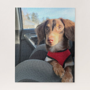 puzzle with Kio the puppy