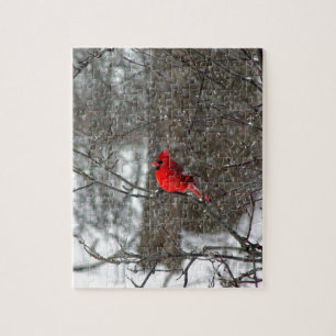 puzzle with photo of male cardinal