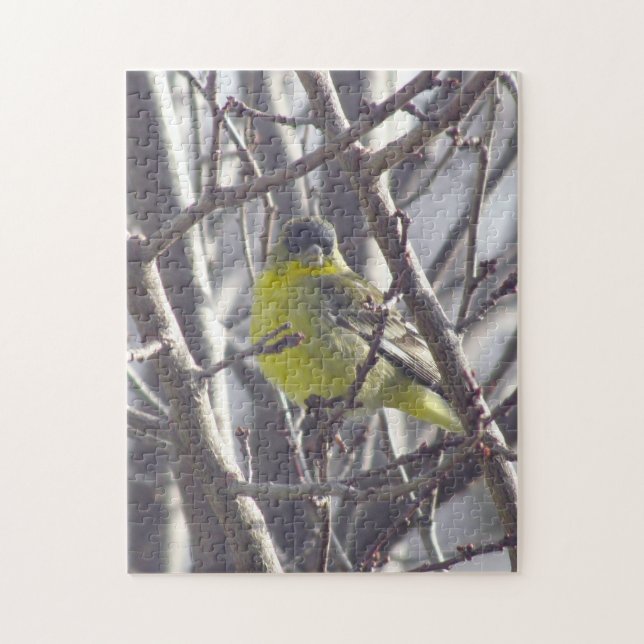 Puzzle - Yellow Finch in Branches (Vertical)