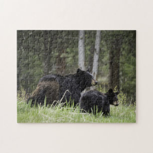 Puzzle Yellowstone Black Bear