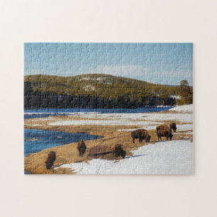 Puzzle Yellowstone Buffalo