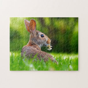 Puzzle Yellowstone Rabbit