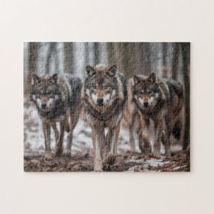 Puzzle Yellowstone Wolves