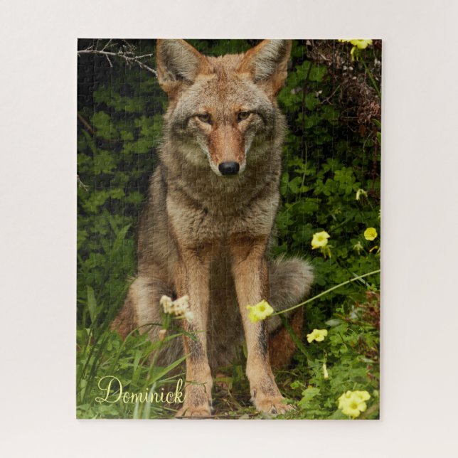 Puzzles Coyote (Vertical)