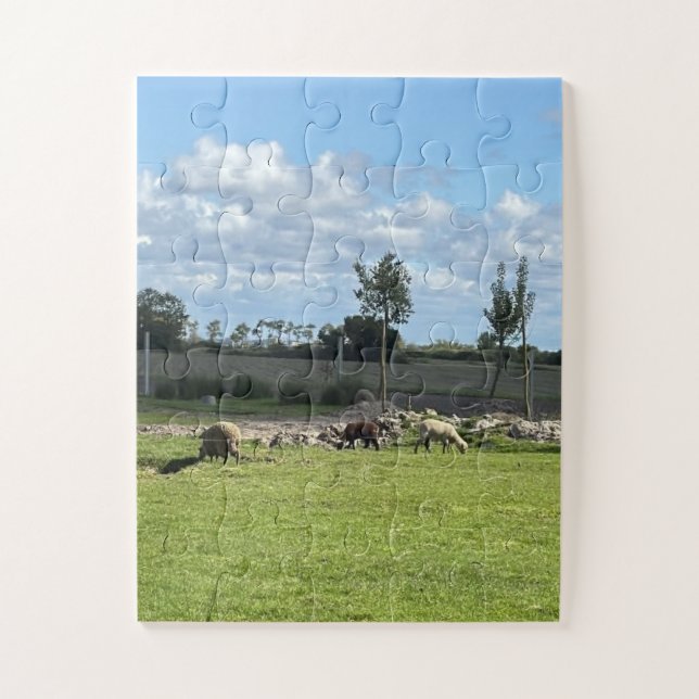Puzzles Cute Sheep My Backyard View Portugal (Vertical)