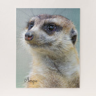 Puzzles Meerkat